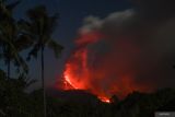 Aktivitas Gunung Lewotobi masih tinggi. Lava pijar dan kolom asap keluar dari kawah Gunung Lewotobi Laki-laki tampak dari Desa Pululera di Wulanggitang, Kabupaten Flores Timur, Nusa Tenggara Timur, Selasa (12/11/2024) dini hari. Pusat Vulkanologi dan Mitigasi Bencana Geologi (PVMBG) Badan Geologi Kementerian Energi dan Sumber Daya Mineral (ESDM) melaporkan Gunung Lewotobi Laki-laki masih mengalami erupsi dengan ketinggian kolom abu setinggi 3.500-4.000 meter dan terus mengeluarkan lava ke arah barat laut. ANTARA FOTO/Aditya Pradana Putra/Spt.ANTARA FOTO/ADITYA PRADANA PUTRA (ANTARA FOTO/ADITYA PRADANA PUTRA)