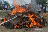 Petugas Pangkalan Pengawasan Sumber Daya Kelautan dan Perikanan (PSDKP) bersama instansi terkait lainnya membakar alat tangkap jaring  ikan ilegal saat pemusnahan di Banda Aceh, Aceh, Selasa (12/11/2024). PSDKP  Lampulo provisi Aceh memusnahkan sebanyak 15  item alat tangkap jaring mini trawl beserta sejumlah barang bukti lainnya  hasil operasi pengawasan tahun 2024 , sedangkan  tiga unit kompresor di hibahkan kepada pondok pesantren dan Sekolah Menengah Kejurunan (SMK). ANTARA FOTO/Ampelsa.