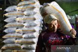 Pekerja mengangkut karung beras di Margaluyu, Kasemen, Kota Serang, Banten, Rabu (13/11/2024). Badan Pangan Nasional (Bapanas) mencatat kenaikan harga berbagai jenis beras per Rabu (13/11), seperti beras premium naik 1,23 persen atau Rp 190 menjadi Rp 15.640 per kg, beras medium naik 0,74 persen atau Rp 100 menjadi Rp 13.600 per kg. ANTARA FOTO/Putra M. Akbar/gp