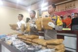 Polres: 30 kilogram ganja akan diedarkan pelaku di Pasaman Barat