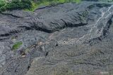 Foto udara aktivitas penambang pasir di sekitar jalur aliran lahar hujan Gunung Semeru, Desa Supiturang, Lumajang, Jawa Timur, Kamis (14/11/2024). Memasuki musim penghujan, Badan Penanggulangan Bencana Daerah (BPBD) Lumajang menyiagakan Tim Reaksi Cepat (TRC) di pos pantau Curah Kobokan untuk memantau dan memberi peringatan kepada warga jika terjadi banjir lahar hujan Gunung Semeru. Antara Jatim/Irfan Sumanjaya/um