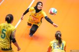 Pevoli Petrokimia Gresik Pupuk Indonesia Nandita Ayu Salsabila (tengah) berusaha mengembalikan bola ke arah pevoli TNI AL pada pertandingan Final Four Livoli Divisi Utama di GOR Tri Dharma, Gresik, Jawa Timur, Kamis (14/11/2024). Petrokimia Gresik Pupuk Indonesia menang atas TNI AL dengan skor 3-0 (26-24, 25-21, dan 25-18). Antara Jatim/Rizal Hanafi/um