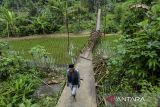  Warga berada di sekitar jembatan Leuwi Awi yang ambruk di Desa Parakanbeusi, Lebak, Banten, Jumat (15/11/2024). Jembatan gantung yang menjadi akses utama penghubung Kecamatan Leuwidamar-Bojongmanik tersebut ambruk pada Kamis (14/11/2024) diduga akibat rusak termakan usia sehingga menyebabkan warga dan siswa terpaksa menyeberang sungai karena akses jalur alternatif yang jauh dengan menempuh jarak sekitar 20 kilometer. ANTARA FOTO/Muhammad Bagus Khoirunas/gp