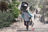 Warga amankan barang dan ternak dari desa terdampak erupsi Lewotobi