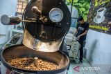 Pekerja menyangrai (roasting) biji kopi luwak di Kopi Luwak Cikole, Lembang, Kabupaten Bandung Barat, Jawa Barat, Jumat (15/11/2024). Penangkaran dan rumah produksi Kopi Luwak Cikole tersebut dalam dua minggu mampu memproduksi 100 - 200 kilogram kopi luwak dan dipasarkan ke sejumlah negara seperti Singapura, Malaysia, Jepang, Arab Saudi dan Amerika Serikat dengan harga Rp550 ribu per 250 gram. ANTARA FOTO/Abdan Syakura/agr
