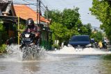 Sejumlah pengendara menerobos jalan yang terendam banjir di Nglames, Kabupaten Madiun, Jawa Timur, Senin (18/11/2024). Sejumlah wilayah kelurahan dan desa di Kota dan Kabupaten Madiun terdampak banjir akibat hujan deras hingga sungai meluap yang menyebabkan sejumlah rumah, ruas jalan, sawah, dan dua gedung sekolah terendam sehingga murid diliburkan. Antara Jatim/Siswowidodo/um