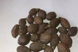 Potensi Hasil Hutan Bukan Kayu guna perekonomian berkelanjutan