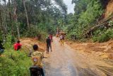 Longsor susulan kembali terjadi, Rimbo Malampah belum bisa dilewati mobil