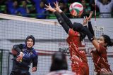 Pevoli TNI AU Electric Jakarta Afifah (kiri) melakukan smes ke arah pevoli TNI AL Jakarta Tisya Ammalya Putri (kanan) dan Putri Lestari (kedua kanan) pada pertandingan Final Four Livoli Divisi Utama di GOR Tri Dharma, Gresik, Jawa Timur, Selasa (19/11/2024). TNI AU Electric Jakarta mengalahkan TNI AL Jakarta dengan skor 3-0 (25-13, 25-20, dan 25-23). Antara Jatim/Rizal Hanafi/um