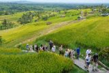 Wisatawan mancanegara mengunjungi lahan pertanian di Daerah Tujuan Wisata Jatiluwih, Tabanan, Bali, Senin (18/11/2024). Desa Jatiluwih meraih penghargaan dari organisasi Perserikatan Bangsa-Bangsa (PBB) bidang Pariwisata Dunia atau United Nations World Tourism Organization (UNWTO) yakni terpilih sebagai 55 desa wisata dengan predikat baik atau Best Tourism Villages yang diikuti total 260 desa wisata dari 60 negara anggota UN Tourism. ANTARA FOTO/Nyoman Hendra Wibowo/wsj.