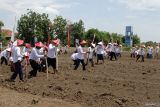 Petani menamam jagung saat peluncuran Gugus Tugas Polri dalam mendukung ketahanan pangan di Desa Bulang, Kecamatan Prambon, Kabupaten Sidoarjo, Jawa Timur, Rabu (20/11/2024). Gugus Tugas Polri akan melaksanakan sejumlah program berkaitan dengan pangan yang mendukung misi Asta Cita Presiden Prabowo Subianto. Antara Jatim/Umarul Faruq