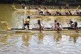 Sejumlah peserta beradu kecepatan mendayung dalam balap Perahu Naga di Sungai Karang Mumus, Samarinda, Kalimantan Timur, Sabtu (16/11/2024). Lomba yang merupakan rangkaian dari Festival Mahakam 2024 itu diikuti 23 tim dari Kota Samarinda, Balikpapan, Bontang,  Paser, Penajam Paser Utara, serta dari Kutai Barat. Antara Kaltim/M Risyal Hidayat