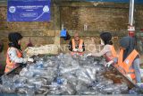 Pekerja memilah botol plastik yang akan didaur ulang di pabrik kawasan Palaran, Samarinda, Kalimantan Timur, Senin (18/11/2024). Berdasarkan data dari Sistem Informasi Pengelolaan Sampah Nasional (SIPSN) tahun 2022, jumlah timbunan sampah di Kalimantan Timur telah mencapai lebih dari 791 ribu ton itu diharapkan fasilitas daur ulang yang dikelola oleh Prevented Ocean Plastic Southeast Asia (PopSea) itu diharapkan dapat mengumpulkan sekitar 9.600 metrik ton plastik polyethylene terephthalate (PET) setiap tahunnya. Antara Kaltim/M Risyal Hidayat