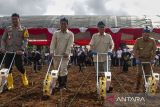 Menteri Pertanian Andi Amran Sulaiman (kedua kiri) bersama Menteri Desa dan Pembangunan Desa Tertinggal Yandri Susanto (kedua kanan), Kapolda Banten Irjen Pol Suyudi Ario Seto (kiri) dan Pj Gubernur Banten Al Muktabar (kanan) menanam bibit jagung saat menghadiri peresmian Gugus Tugas Polri mendukung ketahanan pangan di Gunung Kencana, Kabupaten Lebak, Banten, Rabu (20/11/2024). Dalam peresmian tersebut Polda Banten memberikan bantuan bibit jagung sebanyak 64.875 kilogram untuk lahan seluas 4.325 hektare yang akan dikerjakan oleh kelompok tani binaan di tiga kabupaten dan dua Lembaga Masyarakat Desa Hutan (LMDH) dalam rangka mendukung program swasembada pangan. ANTARA FOTO/Angga Budhiyanto/tom/gp