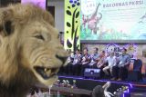 Direktur Konservasi Keanekaragaman Hayati Spesies dan Genetik (KKHSG) Nunu Anugrah (dua kiri) berfoto bersama jajaran pengurus Perhimpunan Kebun Binatang Seluruh Indonesia (PKBSI) di sela sidang Rakor PKBSI di Klub Bunga, Batu, Jawa Timur, Rabu (20/11/2024). Rakor yang diikuti 150 peserta perwakilan pengelola kebun binatang dan lembaga konservasi tersebut diadakan selama empat hari serta diisi berbagai kegiatan yakni pameran, gelar wicara maupun forum diskusi dengan fokus pembahasan mengenai upaya untuk mendorong keterlibatan pemerintah dalam perlindungan satwa. ANTARA Jatim/Ari Bowo Sucipto/mas.