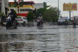 Sejumlah pengendara mobil dan motor menerobos genangan banjir di Jalan Gajah Mada, Pontianak, Kalimantan Barat, Selasa (19/11/2024). BMKG Kalbar mengimbau masyarakat untuk mewaspadai potensi hujan di sebagian besar wilayah Kalimantan Barat yang masuk dalam kategori waspada pada tanggal 19 hingga 22 November, dari intensitas ringan hingga lebat terutama pagi, siang sore malam yang disertai kilat dan angin kencang berdurasi singkat yang dapat mengakibatkan genangan banjir serta tanah longsor. ANTARA/Kristian Jonathan