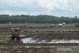 Petani menggunakan traktor membajak sawah di Desa Tambak Baya, Lebak, Banten, Kamis (21/11/2024). Kementerian Desa dan Pembangunan Desa Tertinggal akan mengalokasikan dana desa pada tahun anggaran 2025 sebesar Rp71 triliun atau 20 persen dari total anggaran dana desa untuk mendukung program ketahanan pangan di daerah. ANTARA FOTO/Muhammad Bagus Khoirunas/gp