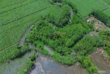 Foto udara kondisi luapan sungai penyebab banjir di Desa Rowokangkung, Lumajang, Jawa Timur, Jumat (22/11/2024). Pemerintah Kabupaten setempat telah berkoordinasi dengan pihak terkait untuk menormalisasi sedimentasi sungai sepanjang 1,5 kilometer penyebab banjir yang melanda 541 kepala keluarga di empat dusun sejak Rabu (20/11) agar warga bisa beraktivitas normal kembali. ANTARA Jatim/Irfan Sumanjaya/mas.