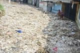 Warga membersihkan tumpukan sampah saat banjir di Dayeuhkolot, Kabupaten Bandung, Jawa Barat, Jumat (22/11/2024). Tumpukan sampah sepanjang 15 meter lebih tersebut terjadi akibat terbawa arus banjir luapan Sungai Citarum. ANTARA FOTO/Novrian Arbi/agr