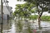 Dua bocah berenang saat banjir merendam Perumahan Garden City Residence, Periuk, Kota Tangerang, Banten, Minggu (24/11/2024). Banjir merendam ratusan rumah warga sejak Sabtu (23/11/2024) malam yang disebabkan jebolnya turap kali sepanjang 10 meter karena tidak kuat menahan derasnya arus air kali saat curah hujan tinggi. ANTARA FOTO/Sulthony Hasanuddin/gp