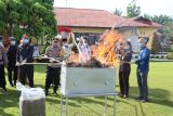 Polres Pasaman Barat musnahkan 28,8 kilogram daun ganja