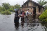 Banjir mulai merendam sebagian wilayah Kotim