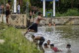 Sejumlah anak berenang di Situ Ciwaka, Pengampelan, Kota Serang, Banten, Kamis (28/11/2024). Situ Ciwaka seluas 40.000 meter persegi yang merupakan pemasok utama air irigasi tersebut memiiki potensi wisata dengan keindahan alamnya namun belum dikelola dengan baik, seperti infrastruktur penunjang wisata yang belum memadai. ANTARA FOTO/Putra M. Akbar/gp