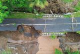 Foto udara jalan penghubung antar dusun yang ambles akibat banjir di Desa Rejoyoso, Kecamatan Bantur, Kabupaten Malang, Jawa Timur, Jumat (29/11/2024). Berdasarkan hasil identifikasi sementara Badan Penanggulangan Bencana Daerah (BPBD) Kabupaten Malang, enam titik banjir dan empat titik tanah longsor yang tersebar di enam kecamatan pada Kamis (28/11) tersebut menyebabkan 82 KK atau 283 Jiwa terdampak juga delapan rumah dan tiga jembatan rusak. Antara Jatim/Irfan Sumanjaya/um