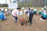 Srikandi PLN tanam 1.100 pohon peringati Hari Menanam Pohon Indonesia