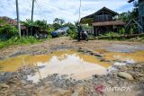 Pengendara sepeda motor melintasi jalan yang rusak di Cikadu, Kabupaten Cianjur, Jawa Barat, Sabtu (30/11/2024). Warga mengeluhkan kondisi jalan penghubung dari Rancabali, Kabupaten Bandung menuju Sindangbarang, Kabupaten Cianjur yang tak kunjung di perbaiki sejak 2007 karena berdampak pada distribusi pertanian, sembako, serta angkutan umum yang memakan waktu lama. ANTARA FOTO/Raisan Al Farisi/agr