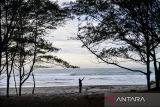 Wisatawan berfoto di kawasan wisata Pantai Cemara Cipanglay, Kecamatan Cidaun, Kabupaten Cianjur, Jawa Barat, Sabtu (30/11/2024). Pantai Cemara Cipanglay menjadi salah satu potensi wisata Pantai Selatan di Jawa Barat yang tengah dikembangkan oleh Pemerintah Kabupaten Cianjur guna mendongkrak kunjungan wisatawan di Pantai Selatan Jawa Barat. ANTARA FOTO/Raisan Al Farisi/agr
