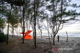 Wisatawan berfoto di kawasan wisata Pantai Cemara Cipanglay, Kecamatan Cidaun, Kabupaten Cianjur, Jawa Barat, Sabtu (30/11/2024). Pantai Cemara Cipanglay menjadi salah satu potensi wisata Pantai Selatan di Jawa Barat yang tengah dikembangkan oleh Pemerintah Kabupaten Cianjur guna mendongkrak kunjungan wisatawan di Pantai Selatan Jawa Barat. ANTARA FOTO/Raisan Al Farisi/agr
