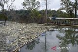 Warga memancing ikan dikelilingi sampah di kawasan Bendungan Leuwikeris, Kabupaten Ciamis, Jawa Barat, Senin (2/12/2024). Menurut keterangan warga, sampah tersebut kiriman dari Sungai Cipali dan bekas timbunan sampah TPAS Sayang Kaak. ANTARA FOTO/Adeng Bustomi/agr
