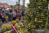 Pengunjung melihat berbagai varietas buah mangga saat Festival Mangga di Indramayu, Jawa Barat, Senin (2/12/2024). Festival tersebut selain menampilkan berbagai jenis buah mangga Indramayu juga produk-produk olahannya. ANTARA FOTO/Dedhez Anggara/agr