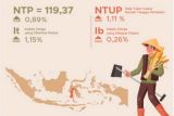 NTP Sulsel per November 2024 mengalami kenaikan 0,89 persen