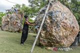 Pekerja menyelesaikan pengerjaan batu fosil untuk dijadikan hiasan di Hirau Galeri, Desa Parigi, Cikande, Kabupaten Serang, Banten, Senin (2/12/2024). Kerajinan hiasan berbahan dasar batu fosil yang telah diekspor ke Belgia dan Austria tersebut dijual seharga Rp 20 ribu hingga Rp 200 ribu per kilogram tergantung jenis kualitas dan tingkat kesulitan dalam pembuatan. ANTARA FOTO/Putra M. Akbar/gp