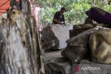 Pekerja menyelesaikan pengerjaan batu fosil untuk dijadikan hiasan di Hirau Galeri, Desa Parigi, Cikande, Kabupaten Serang, Banten, Senin (2/12/2024). Kerajinan hiasan berbahan dasar batu fosil yang telah diekspor ke Belgia dan Austria tersebut dijual seharga Rp 20 ribu hingga Rp 200 ribu per kilogram tergantung jenis kualitas dan tingkat kesulitan dalam pembuatan. ANTARA FOTO/Putra M. Akbar/gp