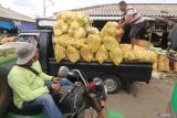 Pekerja menata karung berisi sayur kubis pada bak mobil di Pasar Grosir Ngronggo, Kota Kediri, Jawa Timur, Senin (2/12/2024). Data dari Badan Pusat Statistik (BPS) menyatakan pada November 2024 perubahan Indeks Harga Perdagangan Besar (IHPB) Umum Nasional tahun ke tahun (y-on-y) sebesar 1,96 persen terhadap IHPB November 2023, perubahan IHPB bulan ke bulan (m-to-m) November 2024 sebesar 0,26 persen dan IHPB tahun kalender (y-to-d) November 2024 sebesar 1,58 persen. ANTARA Jatim/Prasetia Fauzani/mas.