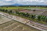 Foto udara sejumlah petani menanam padi di Rejoso, Nganjuk, Jawa Timur, Selasa (3/12/2024). Badan Pusat Statistik Jatim mencatat, Nilai Tukar Petani (NTP) Jawa Timur pada November 2024 turun 1,00 persen dari 111,32 menjadi 110,20 yang disebabkan indeks harga yang diterima petani lebih rendah daripada indeks harga yang dibayarkan petani. Antara Jatim/Muhammad Mada/um