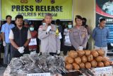 Polres Keerom gagalkan penyeludupan 18,7 kg ganja asal PNG di tahun 2024