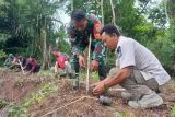 TNI edukasi warga tanam pohon pelindung di Pandan Indah Lombok Tengah