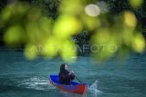 Pengunjung mendayung perahu di Laguna Kehe Daing, Pulau Kakaban, Berau, Kalimantan Timur, Rabu (27/11/2024). Kehe Daing atau lubang ikan yang merupakan destinasi wisata alam yang dikelola oleh kelompok sadar wisata (pokdarwis) Payung-payung dan Badan Usaha Milik Kampung (BUMK) Maratua Payung Sejahtera dengan pendampingan Yayasan Konservasi Alam Nusantara (YKAN) untuk menggaet wisatawan dalam dan luar negeri.  Antara Kaltim/M Risyal Hidayat