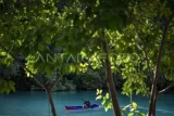 Pengunjung mendayung perahu di Laguna Kehe Daing, Pulau Kakaban, Berau, Kalimantan Timur, Rabu (27/11/2024). Kehe Daing atau lubang ikan yang merupakan destinasi wisata alam yang dikelola oleh kelompok sadar wisata (pokdarwis) Payung-payung dan Badan Usaha Milik Kampung (BUMK) Maratua Payung Sejahtera dengan pendampingan Yayasan Konservasi Alam Nusantara (YKAN) untuk menggaet wisatawan dalam dan luar negeri.  Antara Kaltim/M Risyal Hidayat