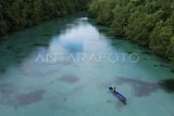 Foto udara pengunjung mendayung perahu di Laguna Kehe Daing, Pulau Kakaban, Berau, Kalimantan Timur, Rabu (27/11/2024). Kehe Daing atau lubang ikan yang merupakan destinasi wisata alam yang dikelola oleh kelompok sadar wisata (pokdarwis) Payung-payung dan Badan Usaha Milik Kampung (BUMK) Maratua Payung Sejahtera dengan pendampingan Yayasan Konservasi Alam Nusantara (YKAN) untuk menggaet wisatawan dalam dan luar negeri. Antara Kaltim/M Risyal Hidayat