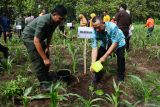 Pimpinan Cabang Perum Bulog Madiun Harisun (kanan) menyiram bibit pohon yang ditanam pada pelaksanaan gerakan sedekah oksigen lewat penanaman bibit pohon yang digelar Perum Perhutani Kesatuan Pemangkuan Hutan (KPH) Madiun di Kabupaten Madiun, Jawa Timur, Kamis (5/12/2024). Perum Perhutani KPH Madiun bersama sejumlah BUMN dan pemangku kepentingan melakukan penanaman sebanyak satu juta lebih bibit pohon di atas lahan seluas 913 hektare selama 2024 guna menjaga kelestarian hutan sebagai sumber oksigen dan sumber mata air. Antara Jatim/Siswowidodo/um