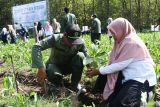 Anggota Ikatan Isteri Karyawan (IIK) Perhutani bersama pegawai Perum Perhutani bersiap menanam bibit pohon pada pelaksanaan gerakan sedekah oksigen lewat penanaman bibit pohon yang digelar Perum Perhutani Kesatuan Pemangkuan Hutan (KPH) Madiun di Kabupaten Madiun, Jawa Timur, Kamis (5/12/2024). Perum Perhutani KPH Madiun bersama sejumlah BUMN dan pemangku kepentingan melakukan penanaman sebanyak satu juta lebih bibit pohon di atas lahan seluas 913 hektare selama 2024 guna menjaga kelestarian hutan sebagai sumber oksigen dan sumber mata air. Antara Jatim/Siswowidodo/um