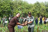 Administratur Perum Perhutani Kesatuan Pemangkuan Hutan (KPH) Madiun Panca Putra M Sihite (kanan) menyerahkan bibit pohon kepada pejabat daerah sebelum ditanam pada pelaksanaan gerakan sedekah oksigen lewat penanaman bibit pohon yang digelar Perum Perhutani Kesatuan Pemangkuan Hutan (KPH) Madiun di Kabupaten Madiun, Jawa Timur, Kamis (5/12/2024). Perum Perhutani KPH Madiun bersama sejumlah BUMN dan pemangku kepentingan melakukan penanaman sebanyak satu juta lebih bibit pohon di atas lahan seluas 913 hektare selama 2024 guna menjaga kelestarian hutan sebagai sumber oksigen dan sumber mata air. Antara Jatim/Siswowidodo/um