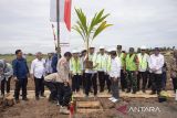 Wakil Menteri Sosial Agus Jabo Priyono (tengah) menanam pohon kelapa saat peletakan batu pertama pembangunan Kampung Nelayan Sejahtera di Eretan Kulon, Indramayu, Jawa Barat, Kamis (5/12/2024). Kementerian Sosial mengembangkan program Kampung Nelayan Sejahtera dengan merelokasi 93 rumah bagi 259 jiwa yang terdampak banjir rob di pesisir Indramayu dengan anggaran mencapai Rp16,1 miliar. ANTARA FOTO/Dedhez Anggara/agr