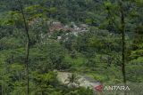 Suasana pemukiman warga di Kabupaten Lebak, Banten, Jumat (6/12/2024). Badan Penanggulangan Bencana Daerah (BPBD) Lebak memetakan terdapat 30 daerah di Kabupaten Lebak rawan terkena bencana longsor dan banjir yang diakibatkan oleh cuaca ekstrem selama bulan Desember hingga Januari 2025. ANTARA FOTO/Putra M. Akbar/gp