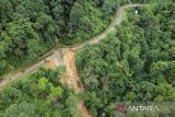 Foto udara jalan Cipanas - Citorek yang terputus akibat longsor di Sobang, Kabupaten Lebak, Banten, Jumat (6/12/2024). Ruas jalan Cipanas - Citorek yang merupakan jalan provinsi tersebut terputus total pada Kamis (5/12), akibat tanah longsor sepanjang 150 meter yang disebabkan oleh tingginya intensitas hujan. ANTARA FOTO/Putra M. Akbar/gp